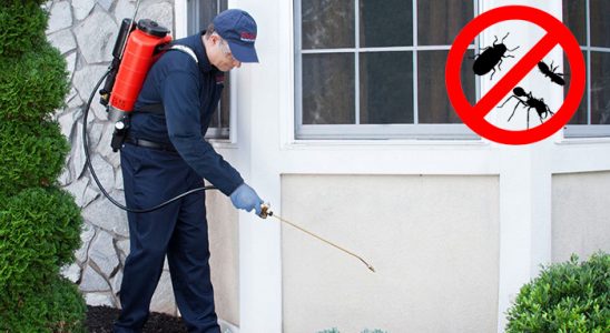 Bayraklı Böcek İlaçlama böcek ilaçlama ve haşere kontrolü — ilaclama-tr.com